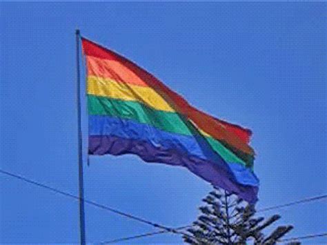 lgbt gif|Lgbt Equality gifs